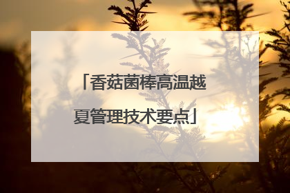 香菇菌棒高温越夏管理技术要点