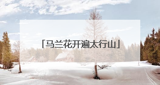 马兰花开遍太行山