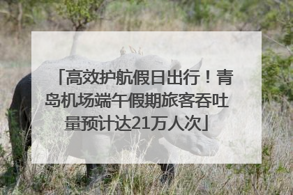 高效护航假日出行！青岛机场端午假期旅客吞吐量预计达21万人次