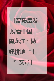 高质量发展看中国｜黑龙江：做好耕地“土”文章
