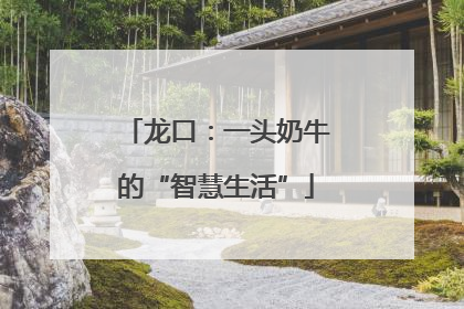 龙口：一头奶牛的“智慧生活”