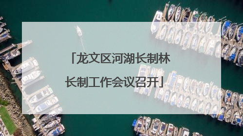 龙文区河湖长制林长制工作会议召开