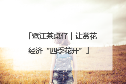鹭江茶桌仔｜让赏花经济“四季花开”