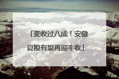 麦收过八成！安徽夏粮有望再迎丰收