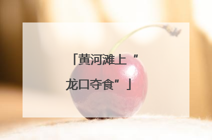 黄河滩上“龙口夺食”
