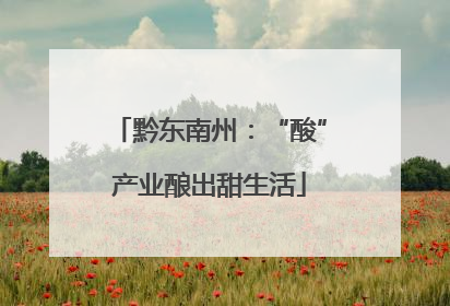 黔东南州：“酸”产业酿出甜生活