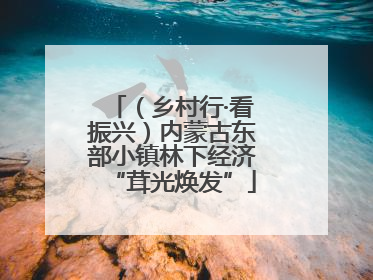 （乡村行·看振兴）内蒙古东部小镇林下经济“茸光焕发”