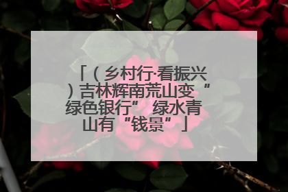（乡村行·看振兴）吉林辉南荒山变“绿色银行” 绿水青山有“钱景”