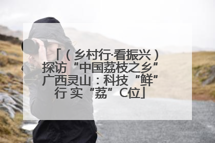 （乡村行·看振兴）探访“中国荔枝之乡”广西灵山：科技“鲜”行 实“荔”C位