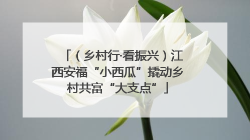 （乡村行·看振兴）江西安福“小西瓜”撬动乡村共富“大支点”