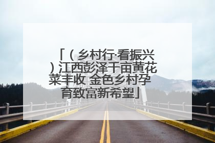 （乡村行·看振兴）江西彭泽千亩黄花菜丰收 金色乡村孕育致富新希望