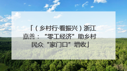 （乡村行·看振兴）浙江嘉善：“零工经济”助乡村民众“家门口”增收