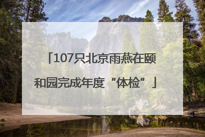 107只北京雨燕在颐和园完成年度“体检”