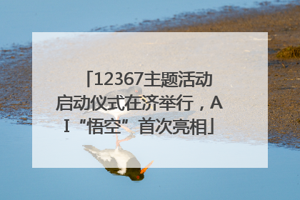 12367主题活动启动仪式在济举行，AI“悟空”首次亮相