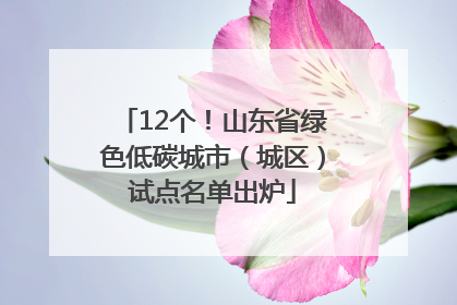 12个！山东省绿色低碳城市（城区）试点名单出炉