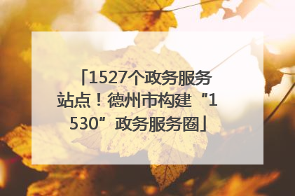 1527个政务服务站点！德州市构建“1530”政务服务圈