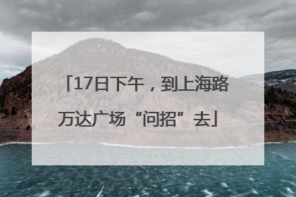 17日下午，到上海路万达广场“问招”去