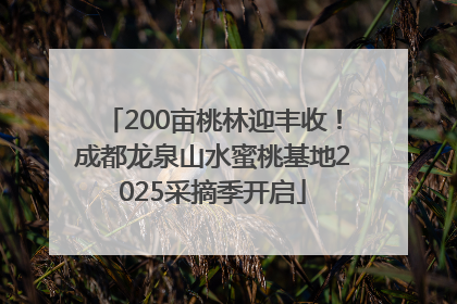 200亩桃林迎丰收！成都龙泉山水蜜桃基地2025采摘季开启