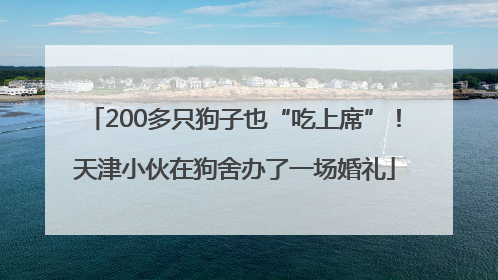 200多只狗子也“吃上席”！天津小伙在狗舍办了一场婚礼