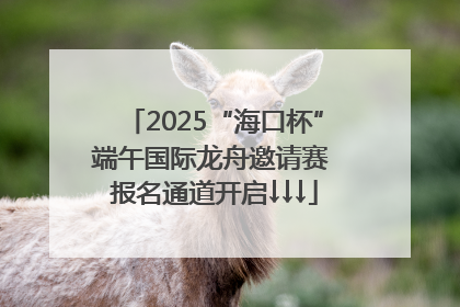 2025“海口杯”端午国际龙舟邀请赛 报名通道开启↓↓↓