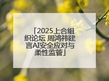 2025上合组织论坛 周鸿祎建言AI安全应对与柔性监管