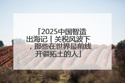 2025中国智造出海记丨关税风波下，那些在世界最前线开疆拓土的人