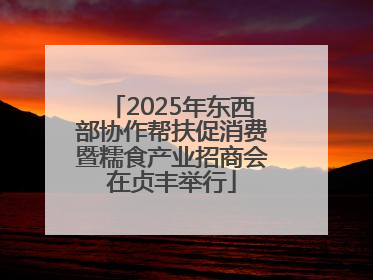 2025年东西部协作帮扶促消费暨糯食产业招商会在贞丰举行