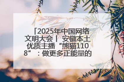 2025年中国网络文明大会丨 安徽本土优质主播“熊猫1108”：做更多正能量的事情 带给大家快乐