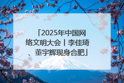 2025年中国网络文明大会丨李佳琦、董宇辉现身合肥