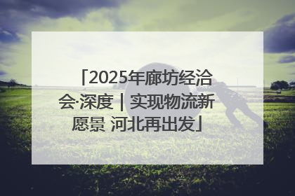 2025年廊坊经洽会·深度｜实现物流新愿景 河北再出发