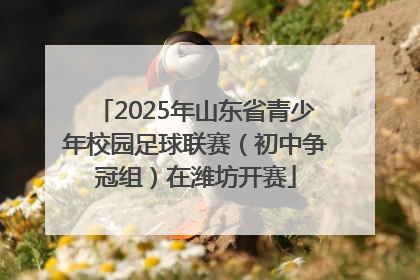 2025年山东省青少年校园足球联赛（初中争冠组）在潍坊开赛