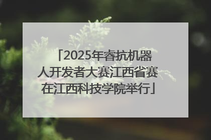 2025年睿抗机器人开发者大赛江西省赛在江西科技学院举行