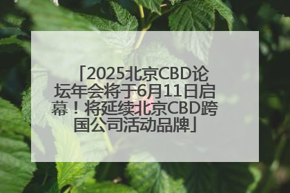 2025北京CBD论坛年会将于6月11日启幕！将延续北京CBD跨国公司活动品牌