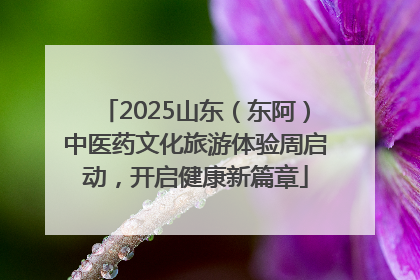 2025山东（东阿）中医药文化旅游体验周启动，开启健康新篇章