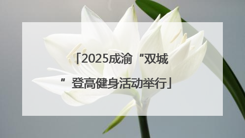 2025成渝“双城”登高健身活动举行