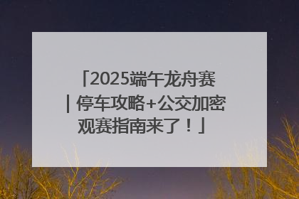 2025端午龙舟赛｜停车攻略+公交加密 观赛指南来了！