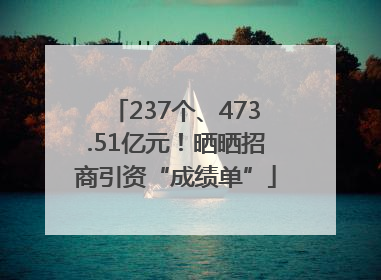 237个、473.51亿元！晒晒招商引资“成绩单”