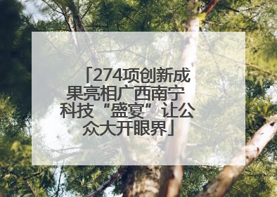 274项创新成果亮相广西南宁 科技“盛宴”让公众大开眼界