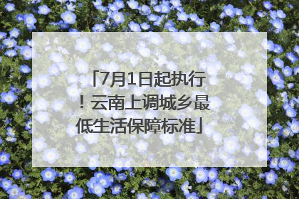 7月1日起执行！云南上调城乡最低生活保障标准