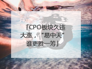 CPO板块久违大涨，“易中天”谁更胜一筹