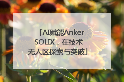 AI赋能Anker SOLIX，在技术无人区探索与突破