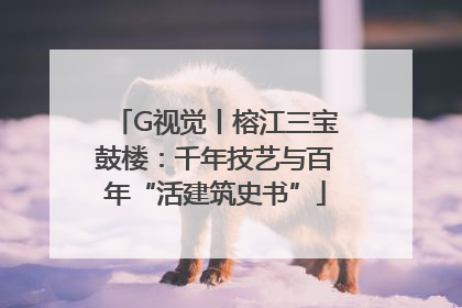 G视觉丨榕江三宝鼓楼:千年技艺与百年“活建筑史书”