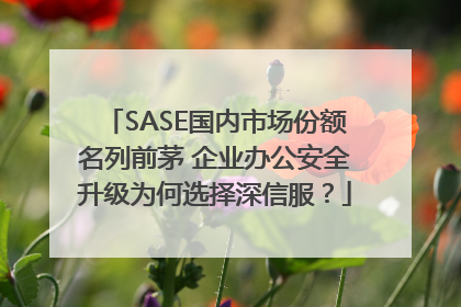 SASE国内市场份额名列前茅 企业办公安全升级为何选择深信服？