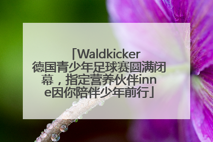 Waldkicker德国青少年足球赛圆满闭幕，指定营养伙伴inne因你陪伴少年前行